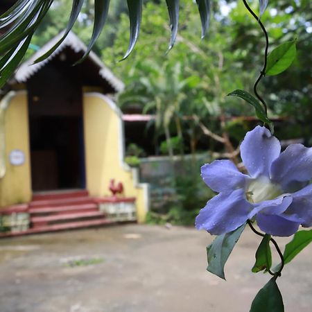 Phoenix Castle House Palolem Canacona Exterior foto