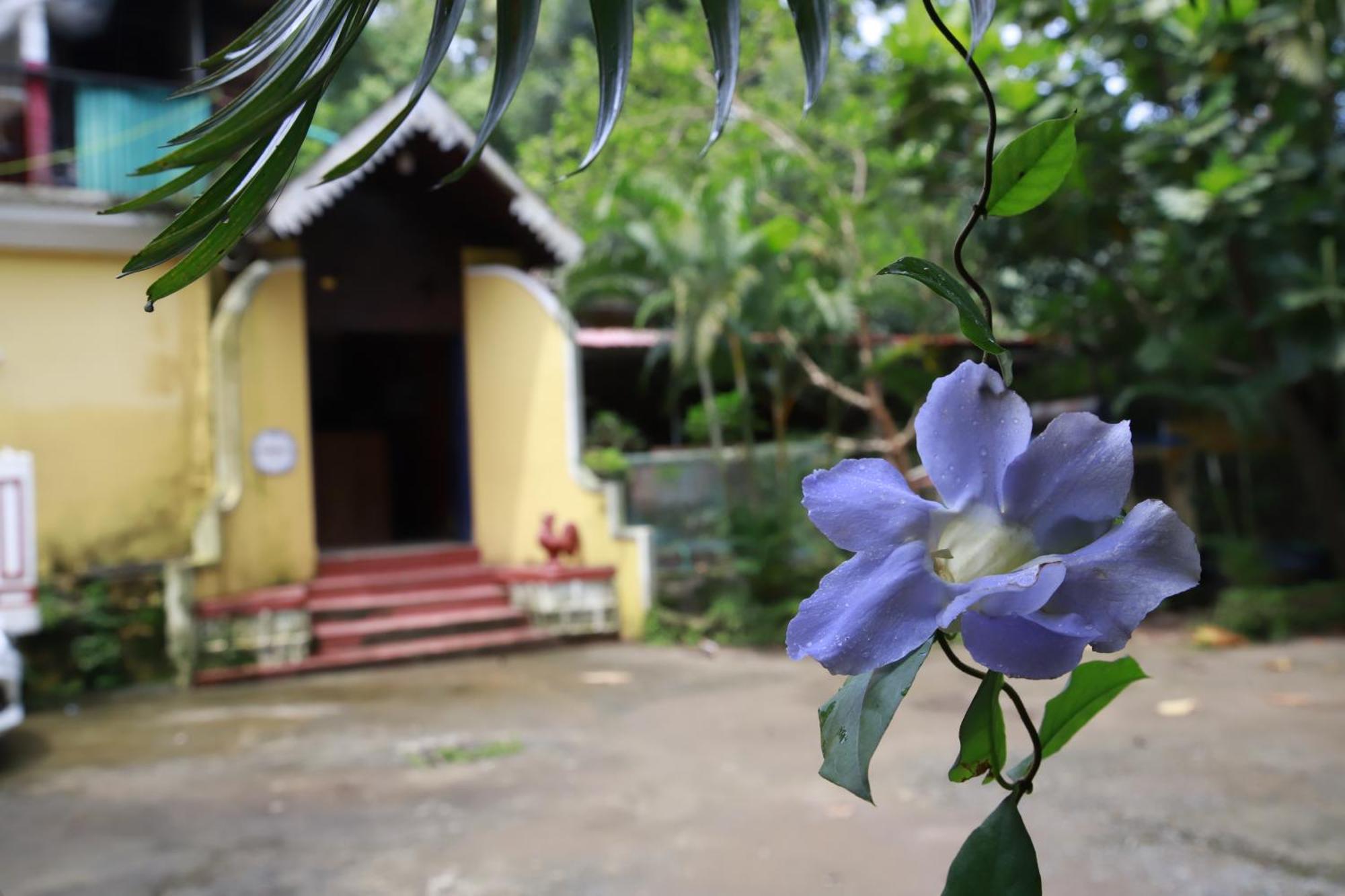 Phoenix Castle House Palolem Canacona Exterior foto